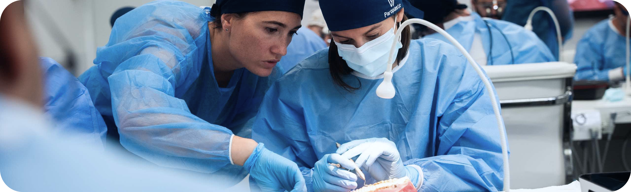masterclass dentaire sur implantologie parodontologie paroplastic
